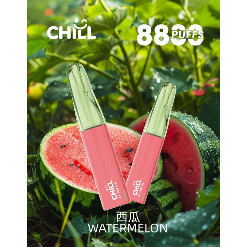 <p><strong>chill 鴨嘴獸 8800口<br />
拋棄式/一次性</strong></p>